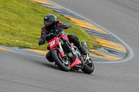 PJ-Motorsport-2019;anglesey-no-limits-trackday;anglesey-photographs;anglesey-trackday-photographs;enduro-digital-images;event-digital-images;eventdigitalimages;no-limits-trackdays;peter-wileman-photography;racing-digital-images;trac-mon;trackday-digital-images;trackday-photos;ty-croes